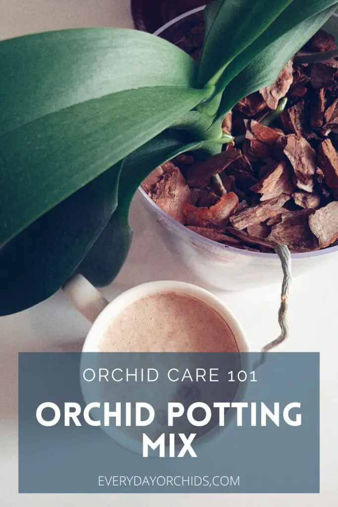 Cómo elegir la mejor mezcla para macetas de orquídeas