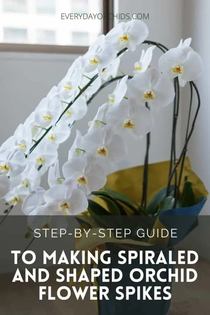 Cómo crear espigas de flores de orquídeas en forma y en espiral