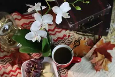 Los mejores consejos y secretos: cómo comprar orquídeas en línea
