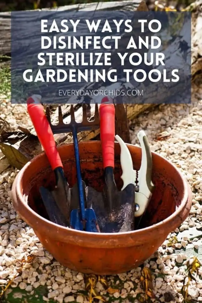 Maneras fáciles de desinfectar y esterilizar sus herramientas de jardinería