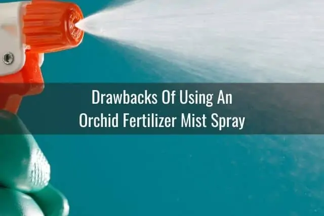Cómo alimentar a su orquídea con un aerosol de niebla fertilizante