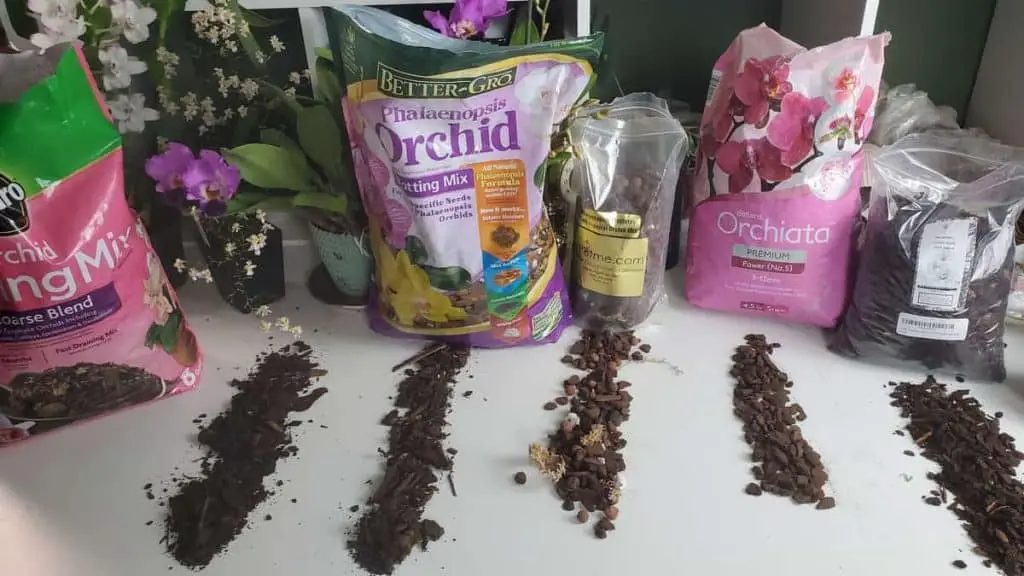 Mezcla para macetas de orquídeas: el medio correcto y el incorrecto