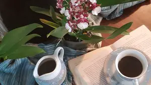 Orquídeas y posos de café: mitos a medias