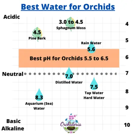 ¿Qué es lo mejor? ¿Agua dura, blanda o destilada para las orquídeas?