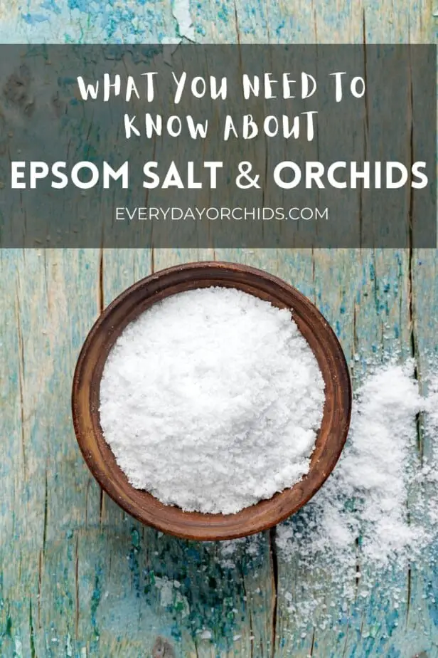 Cómo usar sal de Epsom en sus orquídeas