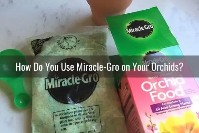 ¿Puedo usar el fertilizante Miracle Gro en mis orquídeas?