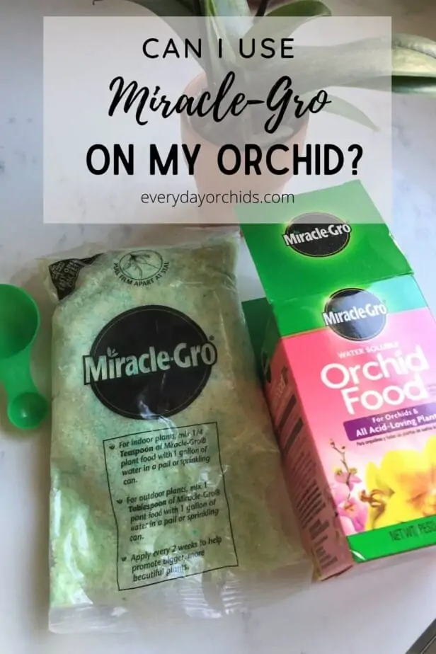 ¿Puedo usar el fertilizante Miracle Gro en mis orquídeas?