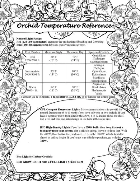 Temperaturas de las orquídeas: ¿La temperatura influye en la floración de las orquídeas?