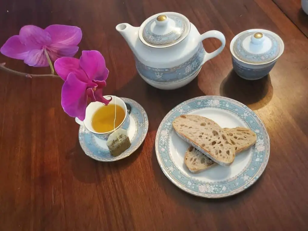 3 métodos comprobados para usar bolsitas de té como fertilizantes para orquídeas
