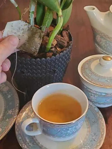 3 métodos comprobados para usar bolsitas de té como fertilizantes para orquídeas