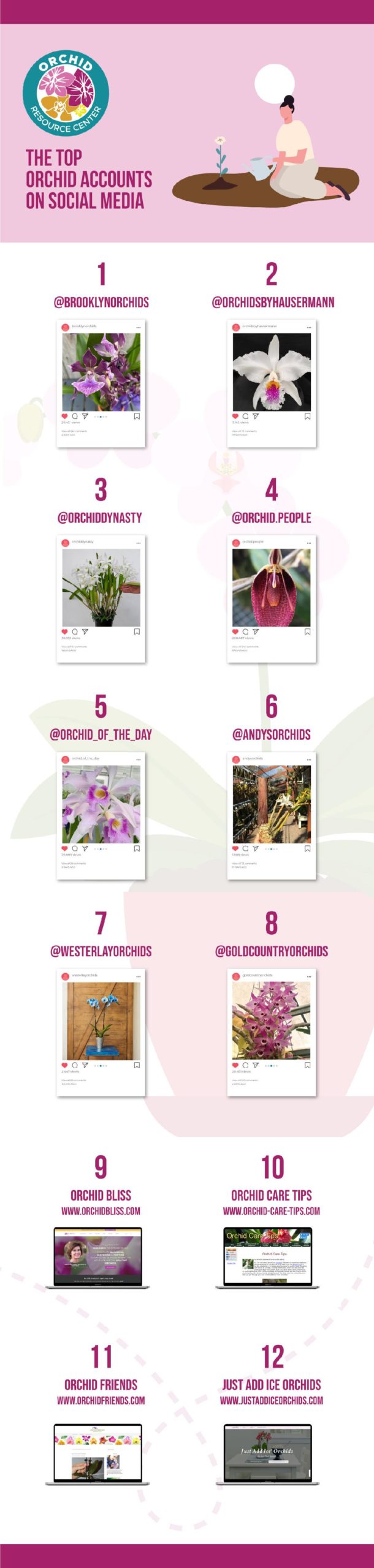 Principales cuentas de Instagram de orquídeas