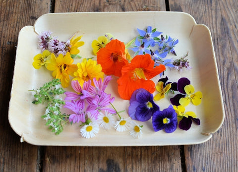 5 hermosas flores que no sabías que eran comestibles