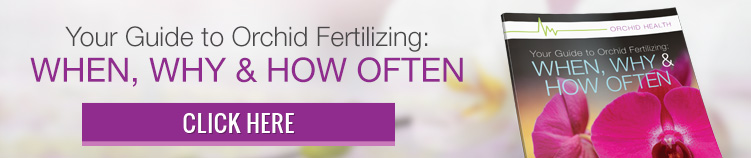 7 sencillos pasos para fertilizar orquídeas