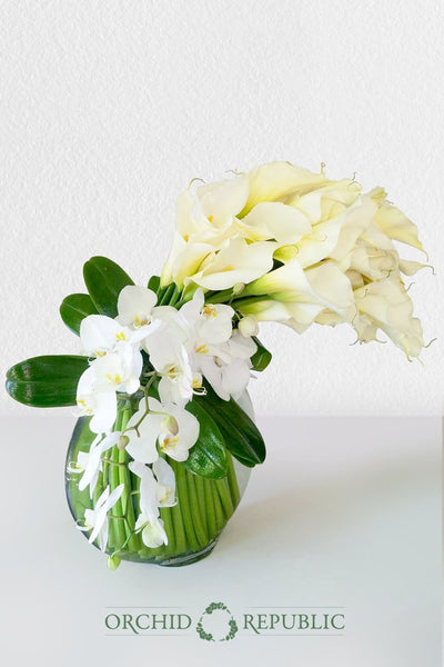 10 impresionantes tipos de flores blancas | República de las orquídeas
