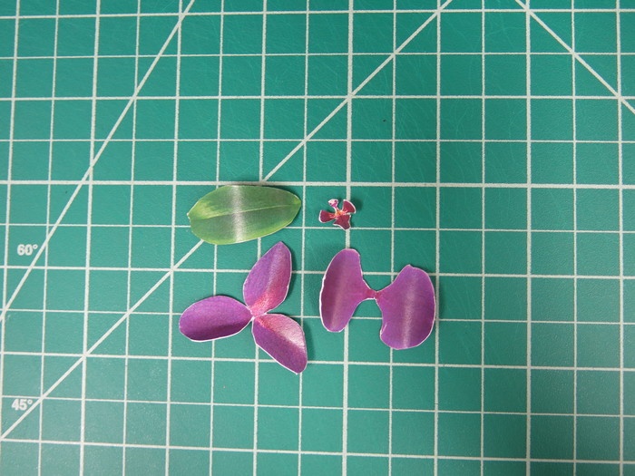 Deja que las orquídeas de papel hechas por ti mismo decoren cada paquete