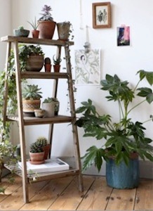 6 formas sencillas de incorporar plantas en la decoración de tu sala de estar