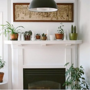 6 formas sencillas de incorporar plantas en la decoración de tu sala de estar