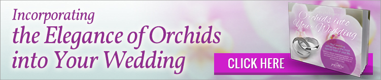 4 formas en que las orquídeas pueden agregar calidez y estilo a su boda de invierno