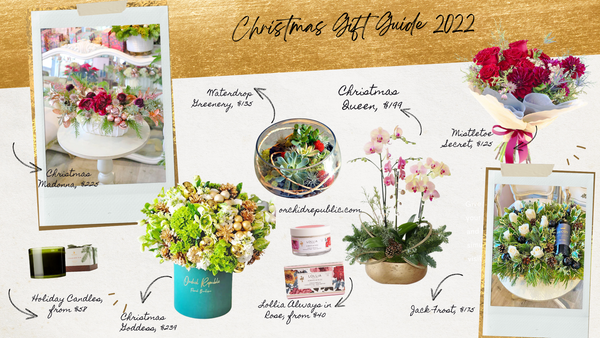 Guía de regalos de Navidad 2022: hermosos regalos florales navideños