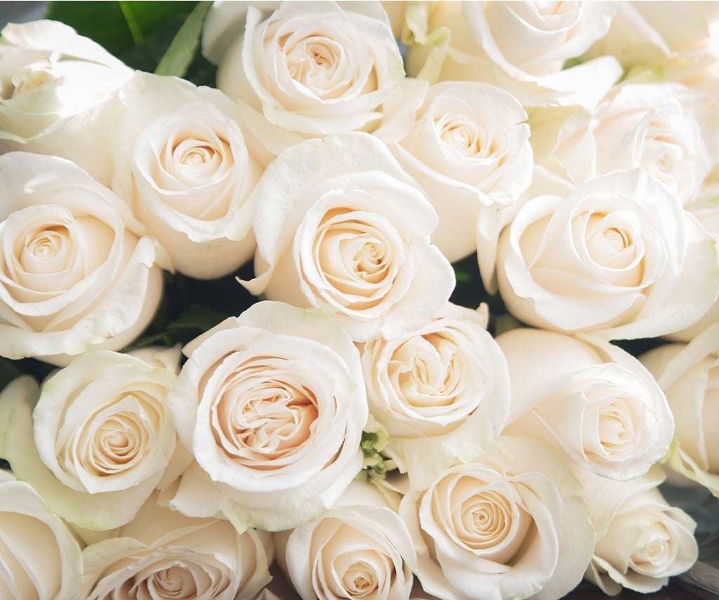 Envía flores de condolencia con estilo