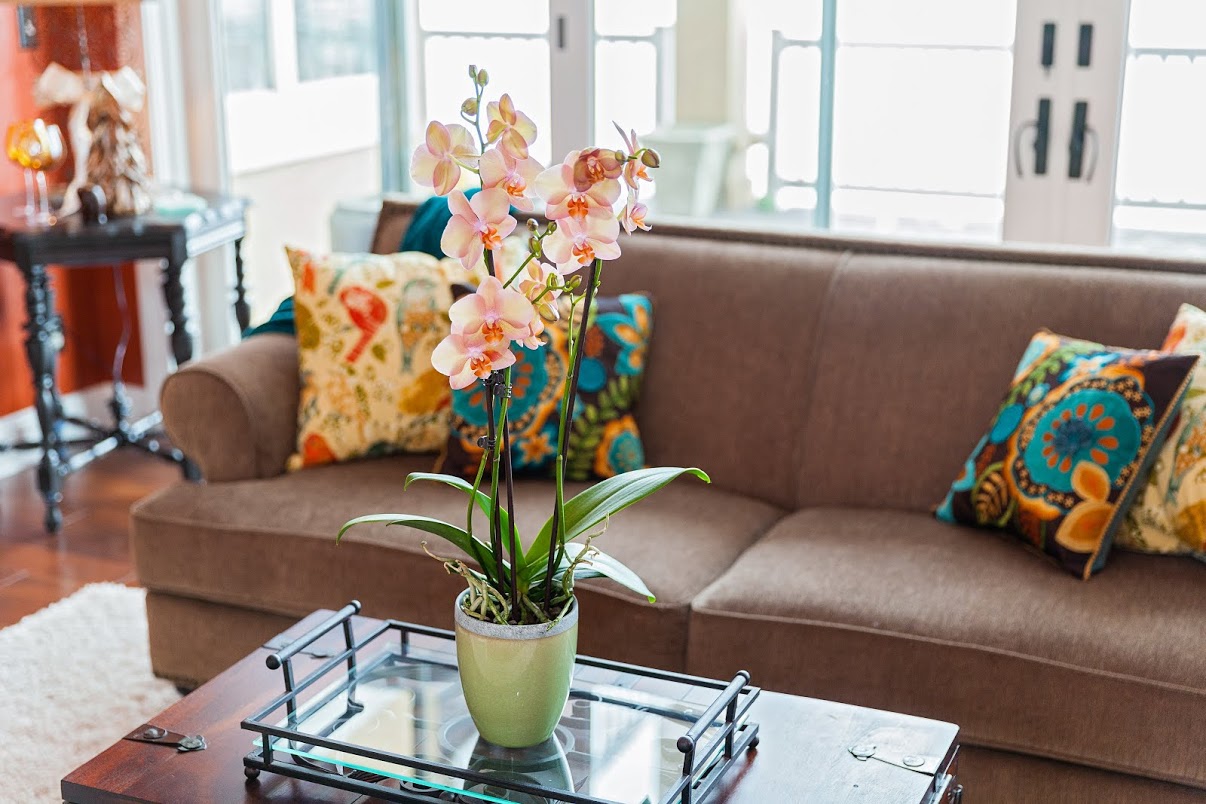 4 formas sencillas de decorar tu hogar como un profesional