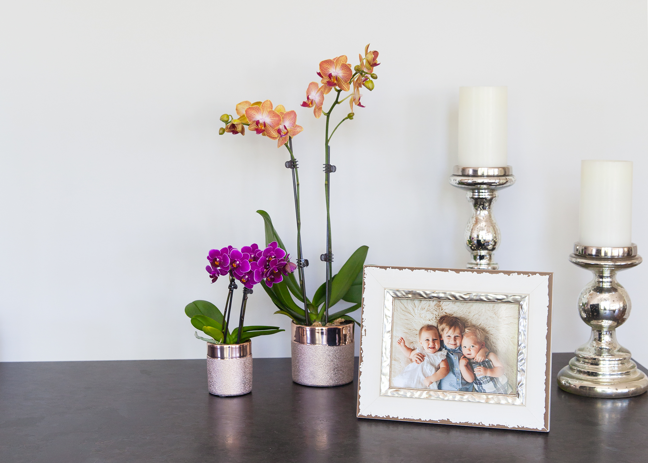 5 personas que necesitan una mini orquídea en su vida
