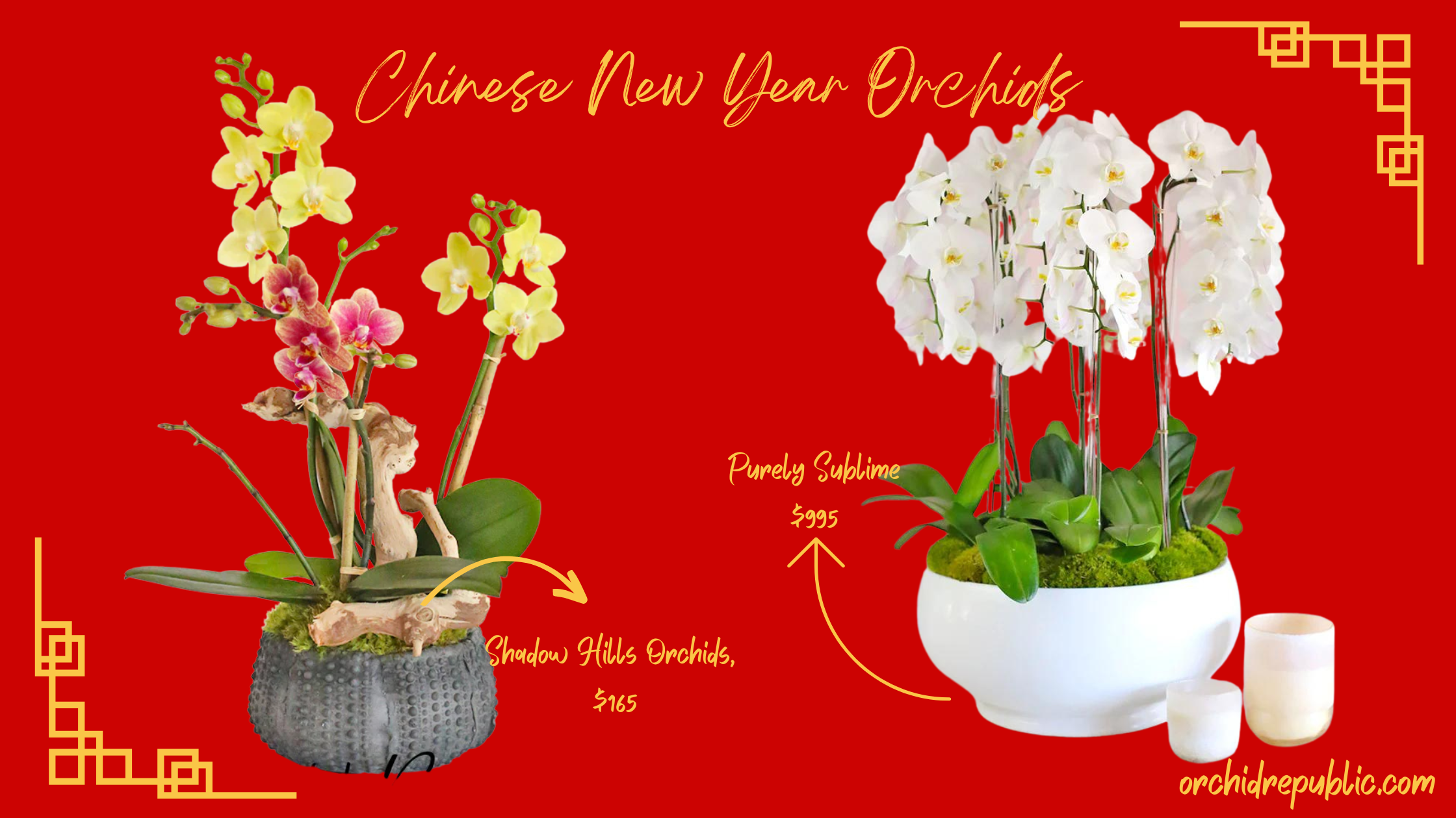 Las flores más afortunadas para el Año Nuevo Chino