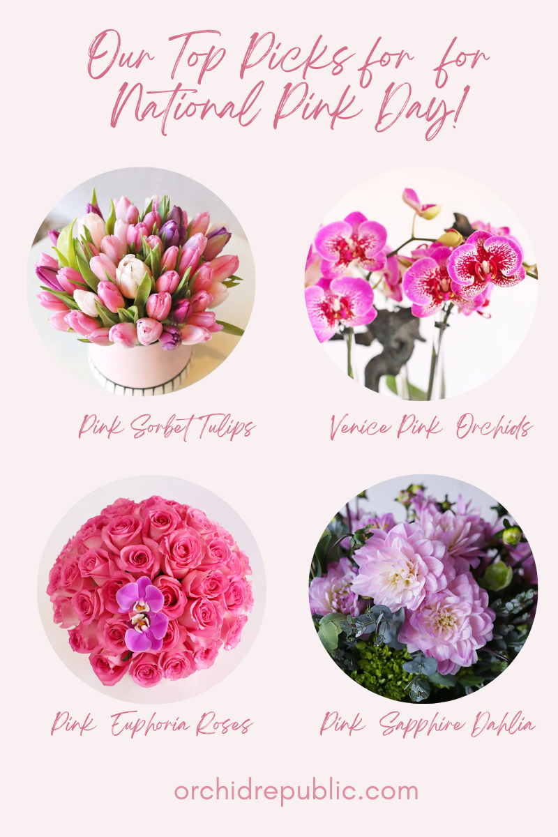 Las flores rosadas más bonitas para el Día Nacional del Rosa