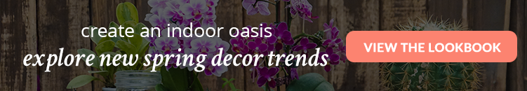 Los mejores lugares para almacenar sus orquídeas esta primavera