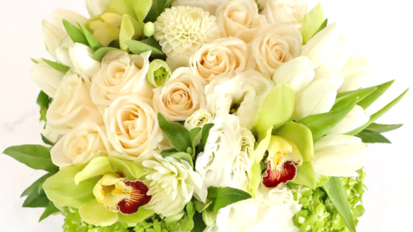 Flores fabulosas para el Día Mundial del Perdón