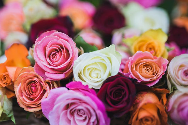 ¿Cómo afectan las flores a tu estado de ánimo?