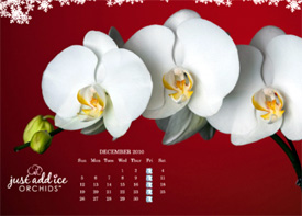 Calendario de recordatorio de riego gratuito de Just Add Ice Orchids