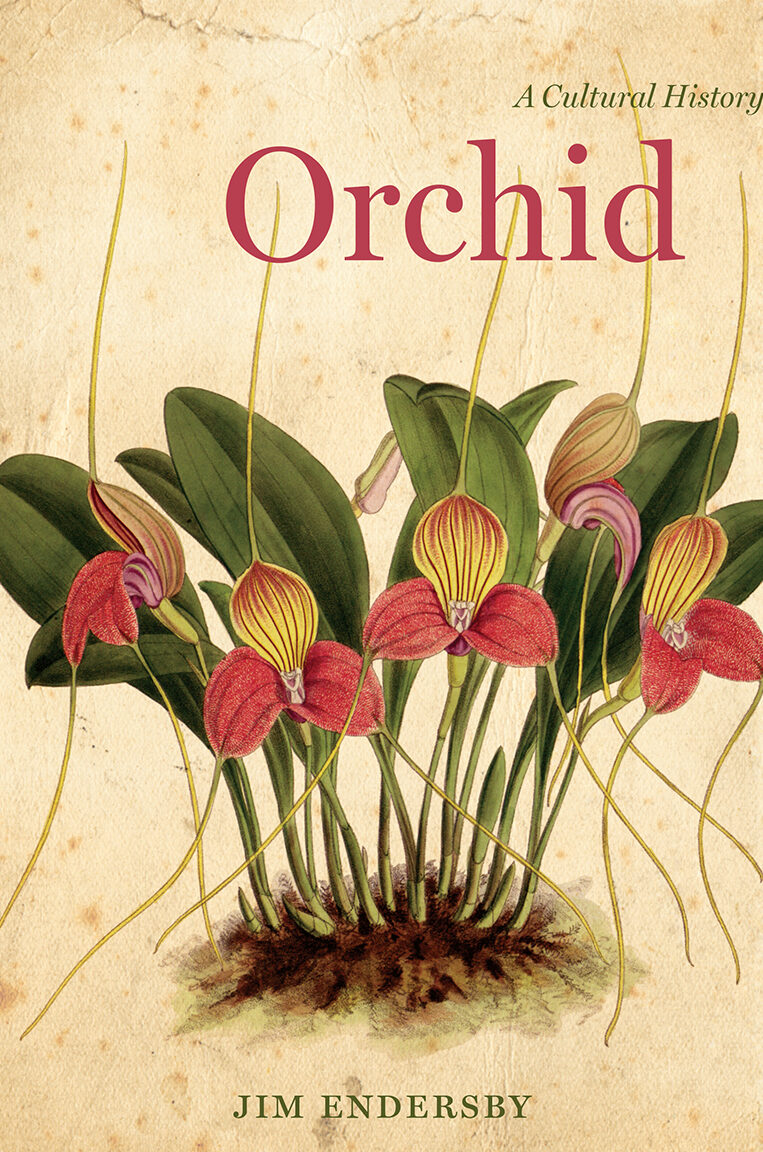 Coleccionistas de orquídeas famosos a lo largo de la historia