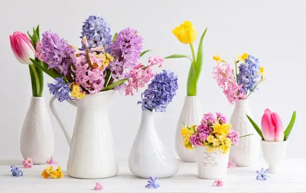 Más de 10 tipos de flores de Pascua y sus significados.