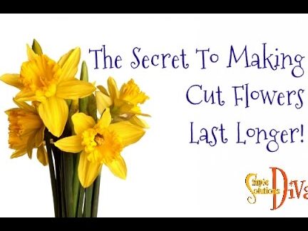 El secreto para unas flores cortadas duraderas