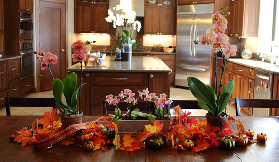 Centros de mesa de Acción de Gracias de bricolaje | Ideas para centros de mesa de orquídeas