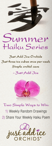 Serie Summer Haiku: ¡Otra oportunidad de ganar una orquídea!