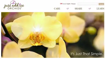 Presentamos el cambio de imagen de primavera del sitio web Just Add Ice Orchids