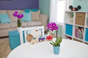 Cómo involucrar a los niños en el cuidado de las orquídeas