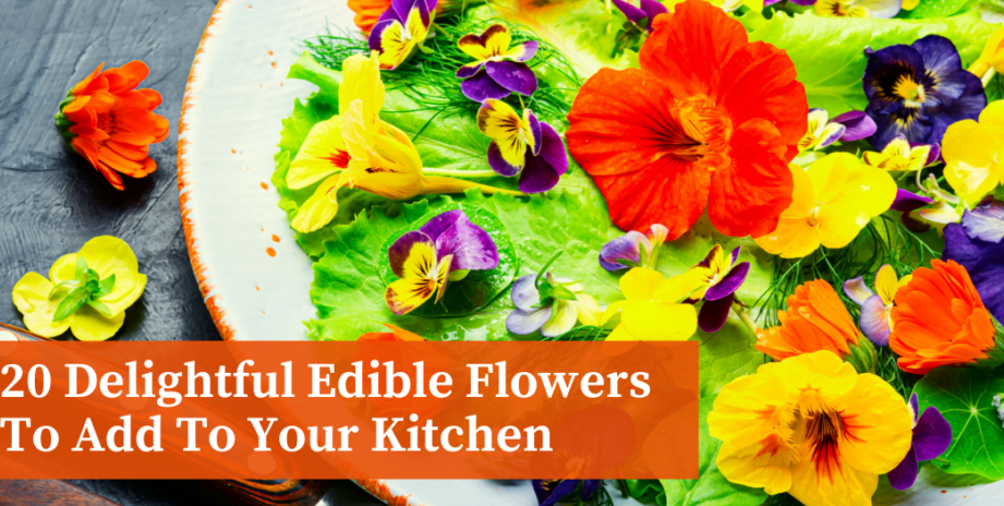 Las 10 flores comestibles más deliciosas para tu próxima receta