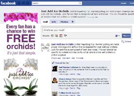 Haz amigos de Orquídea en Facebook