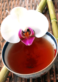 Bebe orquídeas de BiodiversiTea Resort