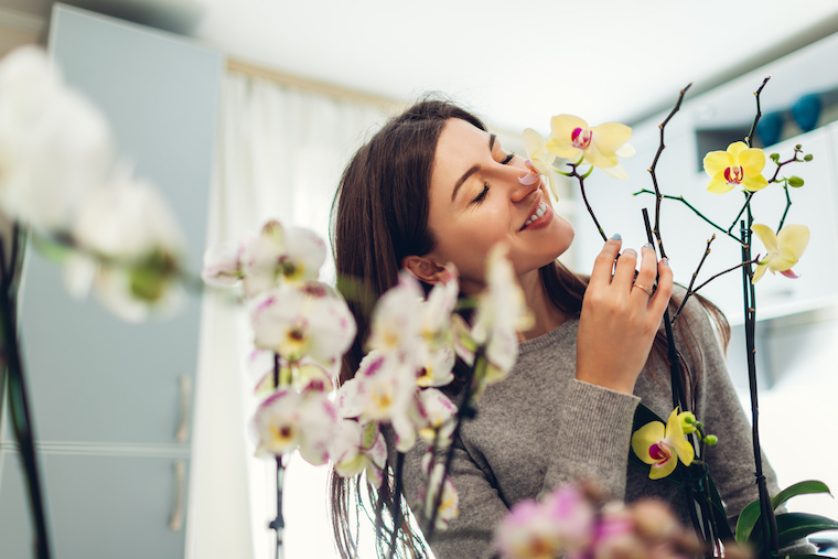 6 razones por las que las orquídeas son la sorpresa perfecta para San Valentín