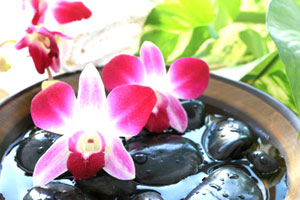 Impresionantes fotos de orquídeas
