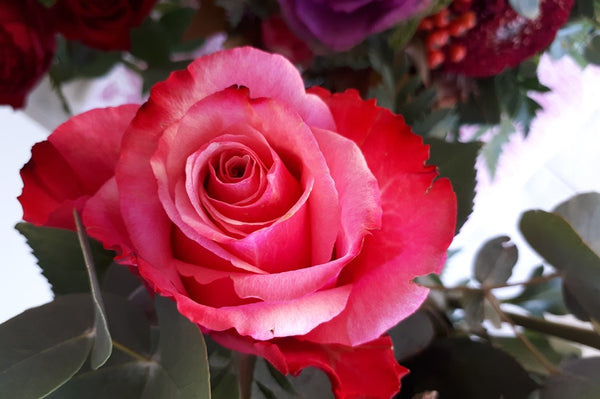 3 trucos de belleza de bricolaje relacionados con las rosas