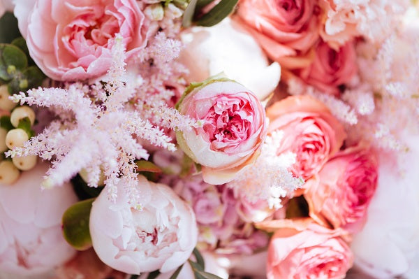 25 tipos de flores rosadas y sus significados