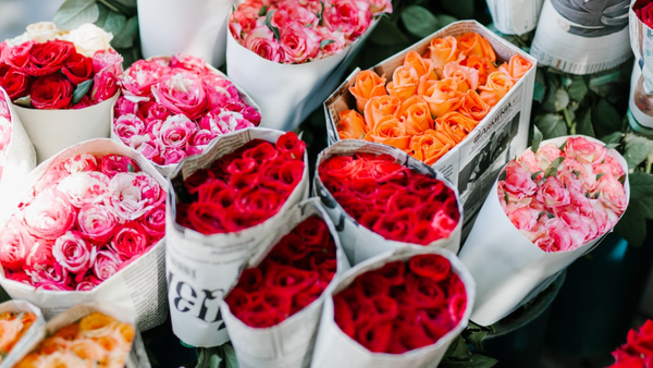 Significado secreto de la flor: ¿Cuántas rosas hay en tu ramo?