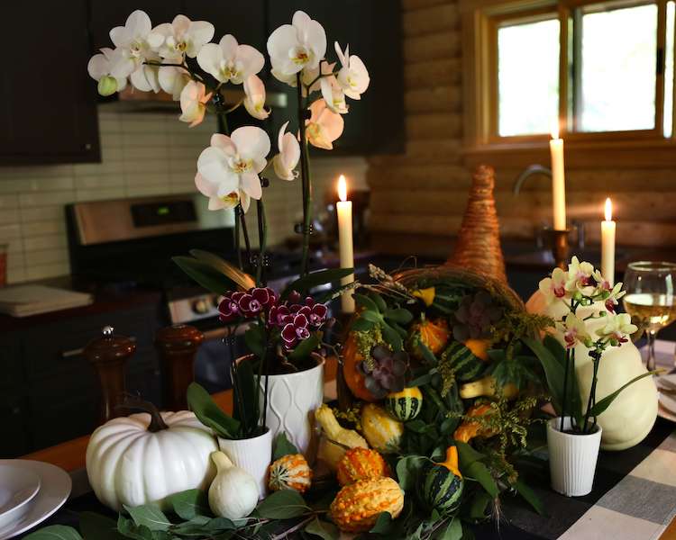 4 ocasiones para un centro de mesa de orquídeas