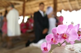 Solo agrega hielo. Las orquídeas son perfectas para bodas.