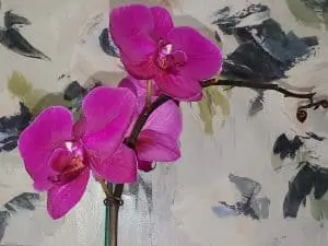Explosión de brotes: ¿Qué hacer cuando los brotes de las orquídeas se marchitan y caen?